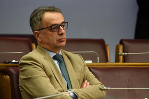 Danilović: Naši vlastodršci se obrukali glasanjem u UN, za ovo...