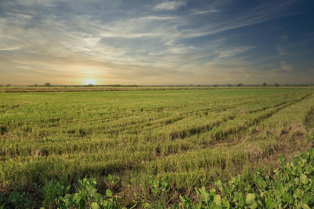 Ilustracija, Foto: Shutterstock