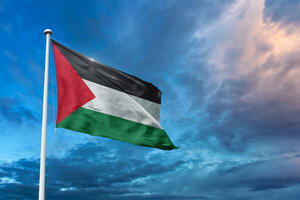 "Palestina pozdravlja izvještaj o izraelskom režimu aparthejda i...