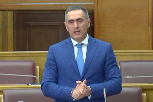 Damjanović: Budžet se od akciza na gorivo za jahte puni solidnom...
