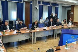 Radonjić: Imamo 47 ljudi koji su dobili kredit od 40.000 eura,...
