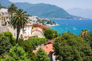 DPS Herceg Novi: Zahtjev nam nije usvojen, Institut Igalo je...