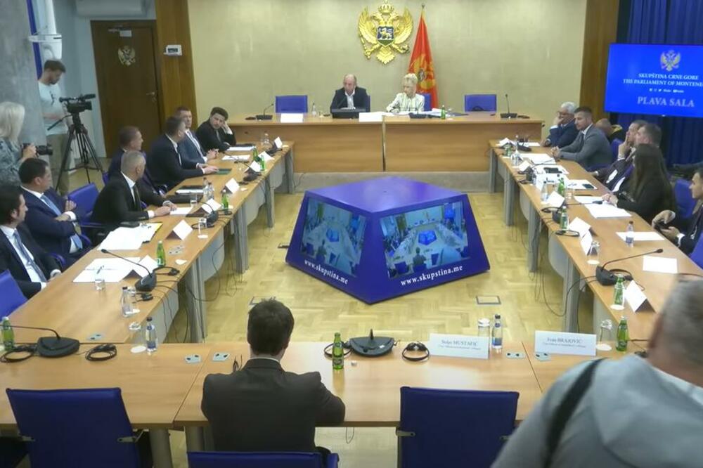 Sa jedne od prethodnih sjednica Odbora za bezbjednost i odbranu, Foto: Printscreen YouTube/Skupština Crne Gore