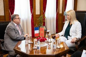 Đurović sa Timonijeom: Nova Vlada i parlament da ubrzaju proces...