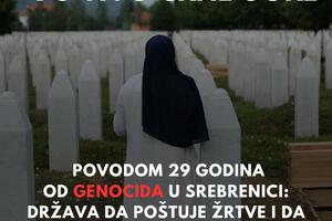 Grupa NVO: Pro-srpske, nacionalističke partije na vlasti negiraju...