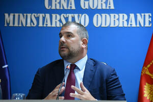 Krapović: Cijela država da jača kredibilitet članstva u NATO...