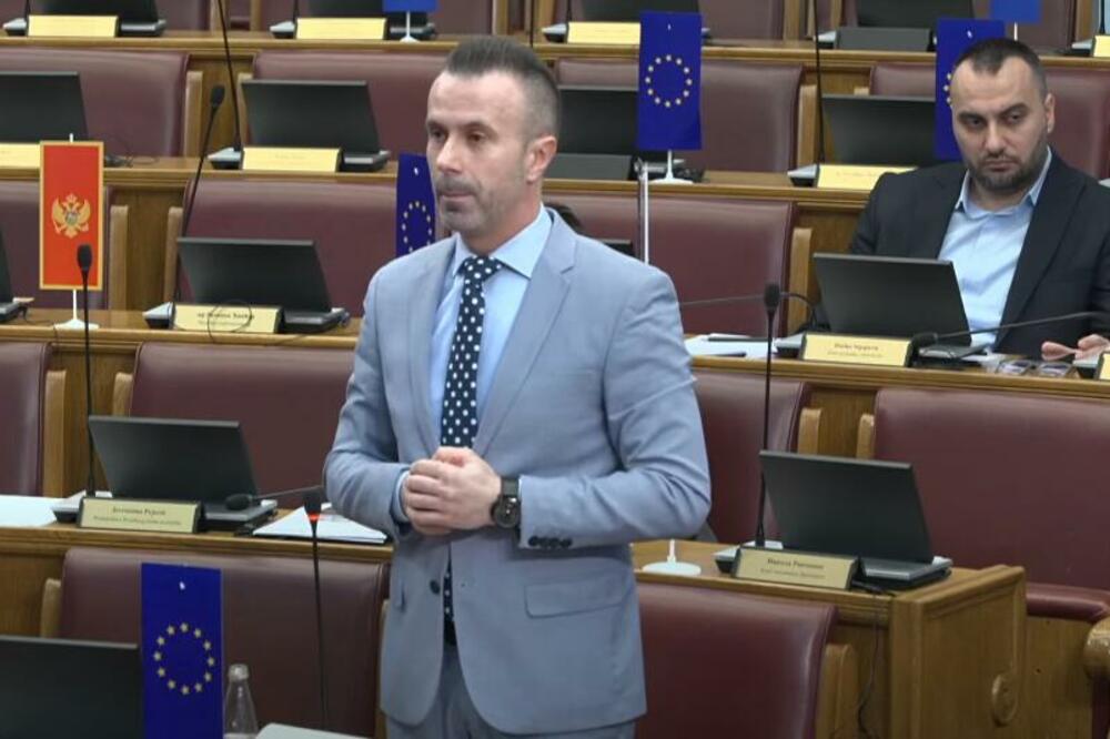 Bogdanović, Foto: Skupština/Youtube