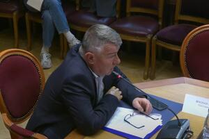 Vukićević: Ustavni odbor nije povrijedio Ustav kada je zaključio...