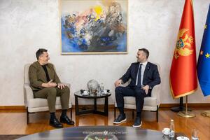 Spajić: Povratak Miloševića u Crnu Goru označiće početak strateške...
