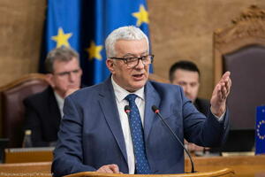 Mandić: Ibrahimović glasanjem na sastanku Komiteta ministara...
