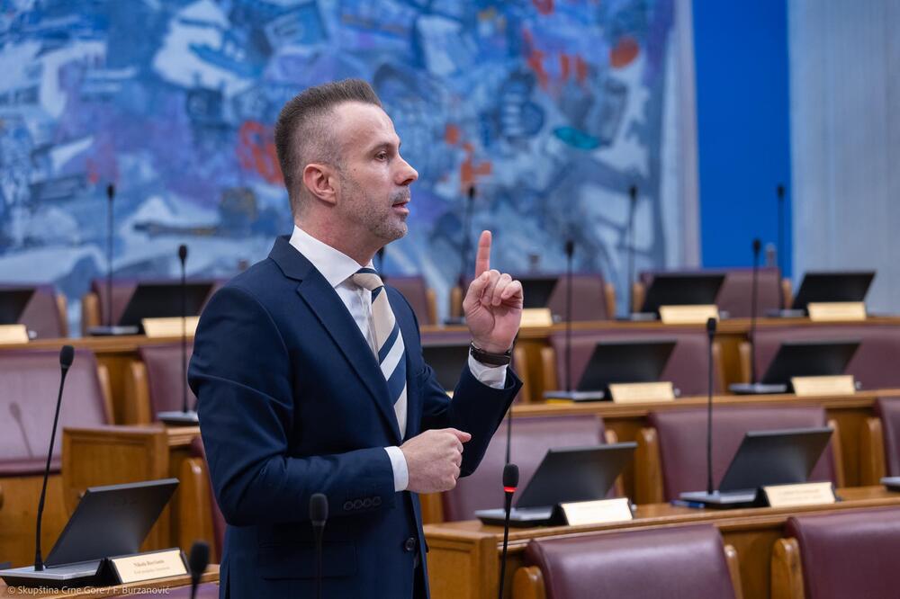 Bogdanović, Foto: Skupština Crne Gore