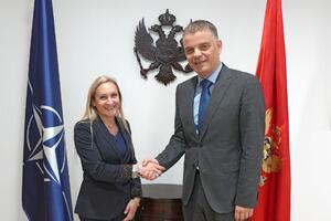 Zadovoljni saradnjom Crne Gore i Italije na planu efikasnog...