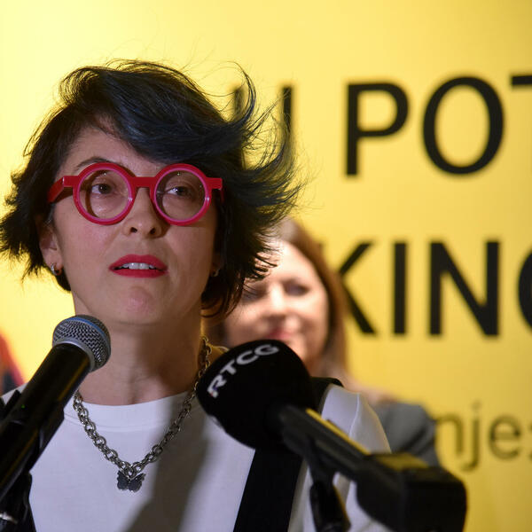 Tužba JU Muzeji i galerije protiv Savjeta i Sekretarijata za...