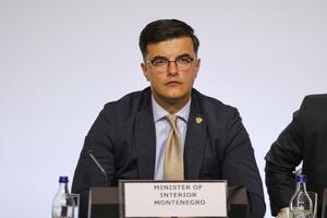 Šaranović: Finansiranje smanjenja rizika od katastrofa nije trošak