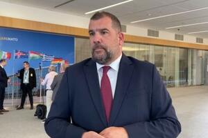 Krapović: Sve NATO članice saglasne da je potrebno povećati...