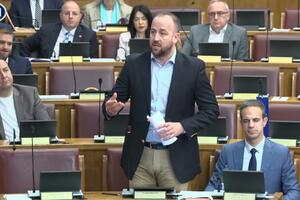 Nikolić: Parlamentarni nadzor nad radom izvršne vlasti trenutno ne...